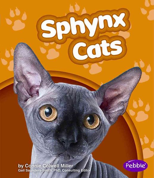 Produktbild: Sphynx Cats