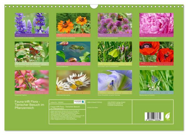 Produktbild: Fauna trifft Flora - Tierischer Besuch im Pflanzenreich (Wandkalender 2026 DIN A3 quer), CALVENDO Monatskalender