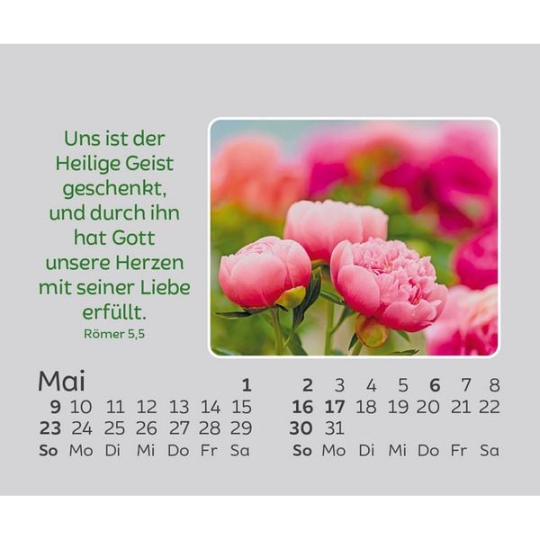 Produktbild: Freude f&uuml;r jeden Tag 2027