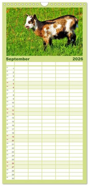 Produktbild: Familienplaner 2026 - Wer zickt denn da? Mit Ziegen durchs Jahr mit 5 Spalten (Wandkalender, 21 x 45 cm) CALVENDO