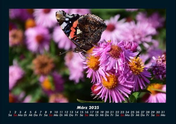 Produktbild: Blumenzauber 2025 Fotokalender DIN A4