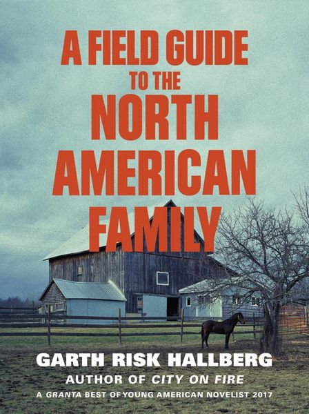 Produktbild: A Field Guide to the North American Family