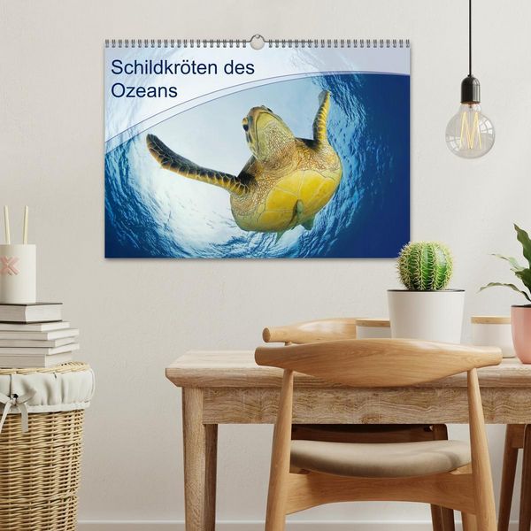 Produktbild: Schildkr&ouml;ten des Ozeans (Wandkalender 2026 DIN A3 quer), CALVENDO Monatskalender