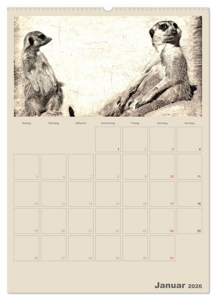 Produktbild: Lustige Erdm&auml;nnchen (hochwertiger Premium Wandkalender 2026 DIN A2 hoch), Kunstdruck in Hochglanz