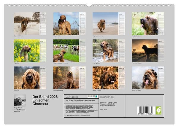 Produktbild: Der Briard 2026 - Ein echter Charmeur (hochwertiger Premium Wandkalender 2026 DIN A2 quer), Kunstdruck in Hochglanz