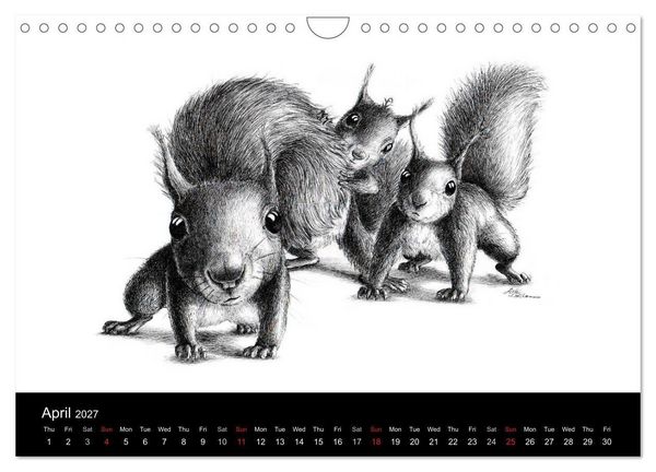Produktbild: owls & friends 2027 (Wall Calendar 2027 DIN A4 landscape), CALVENDO 12 Month Wall Calendar