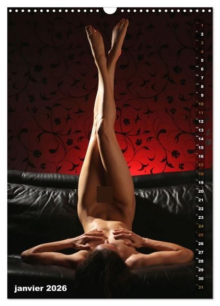 Produktbild: Le canap&eacute; (Calendrier mural 2026 DIN A3 horizontal), CALVENDO calendrier mensuel
