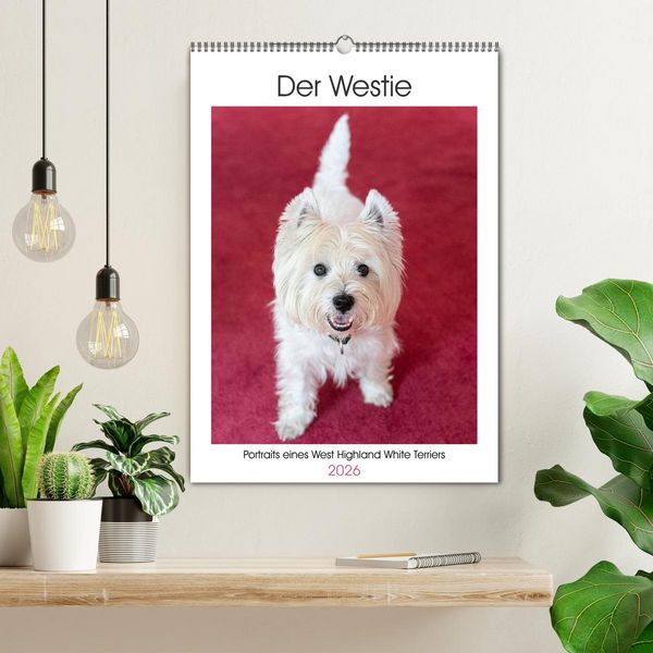 Produktbild: Der Westie - Portrait eines West Highland White Terriers (Wandkalender 2026 DIN A2 hoch), CALVENDO Monatskalender
