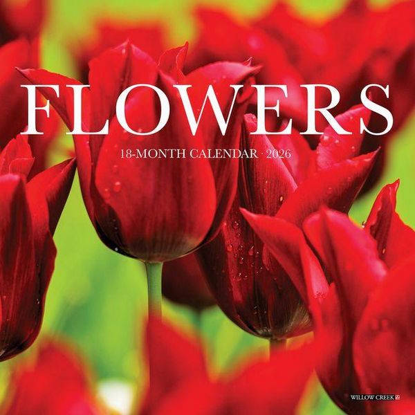 Produktbild: Flowers 2026 Mini Wall Calendar