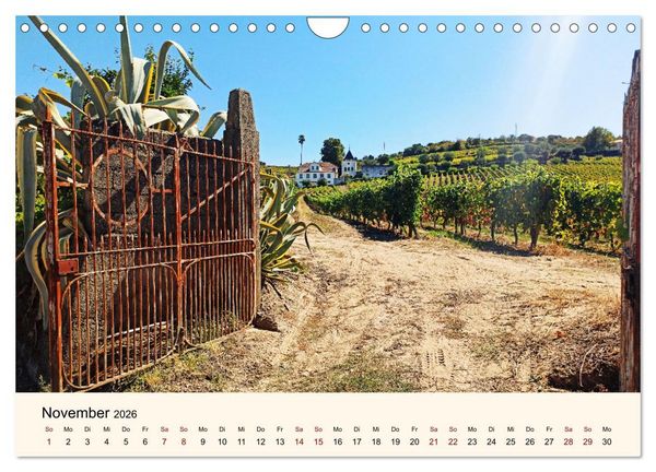 Produktbild: Mediterraner Seelenfrieden (Wandkalender 2026 DIN A4 quer), CALVENDO Monatskalender