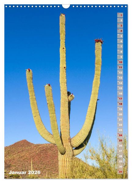 Produktbild: SAGUARO NATIONAL PARK W&uuml;stenimpressionen aus Arizona (Wandkalender 2026 DIN A3 hoch), CALVENDO Monatskalender