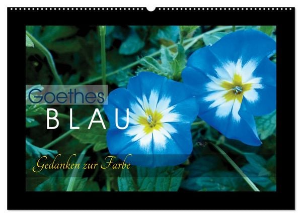 Produktbild: Goethes Blau. Gedanken zur Farbe (Wandkalender 2026 DIN A2 quer), CALVENDO Monatskalender