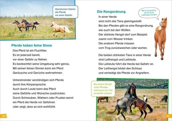 Produktbild: WAS IST WAS Erstes Lesen Band 7. Pferde und Ponys