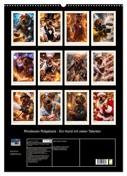Produktbild: Rhodesian Ridgeback - Ein Hund mit vielen Talenten (Wandkalender 2027 DIN A2 hoch), CALVENDO Monatskalender