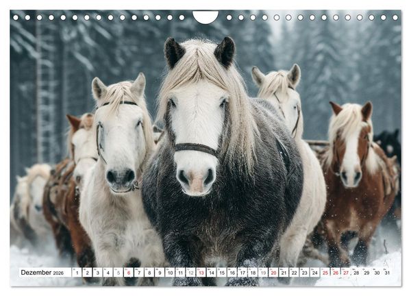 Produktbild: Pferde in freier Natur (Wandkalender 2026 DIN A4 quer), CALVENDO Monatskalender