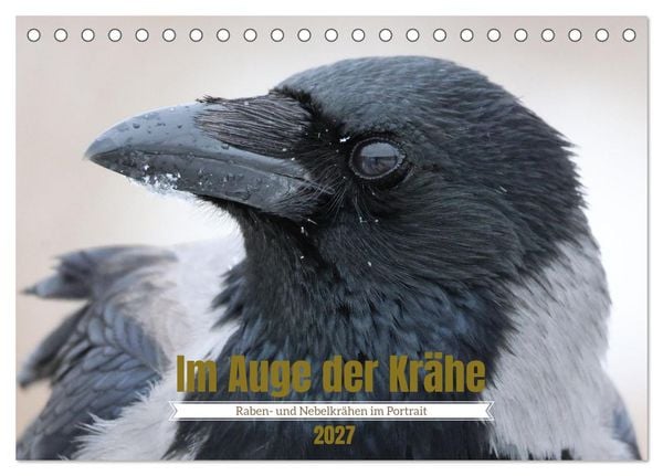 Produktbild: Im Auge der Kr&auml;he (Tischkalender 2027 DIN A5 quer), CALVENDO Monatskalender