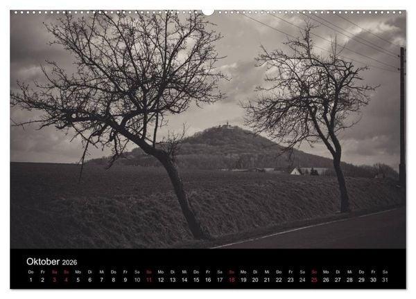 Produktbild: B&auml;ume trees 2026 (hochwertiger Premium Wandkalender 2026 DIN A2 quer), Kunstdruck in Hochglanz
