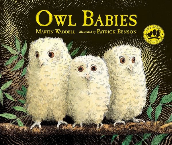 Produktbild: Owl Babies