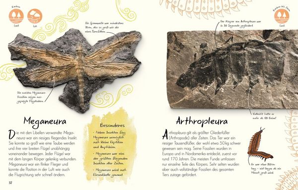 Produktbild: Wundervolle Welt - Kleine Sch&auml;tze. Fossilien