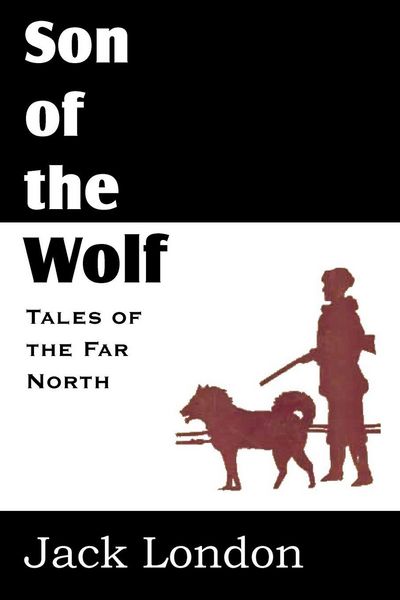 Produktbild: The Son of the Wolf