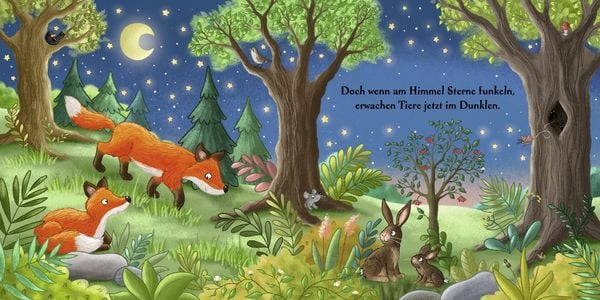 Produktbild: Es wird Nacht hier im Wald