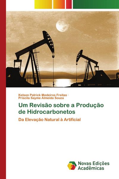 Produktbild: Um Revis&atilde;o sobre a Produ&ccedil;&atilde;o de Hidrocarbonetos