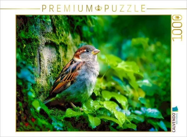 CALVENDO Puzzle Die Poesie des Alltags | 1000 Teile Lege-Größe 64x48cm Foto-Puzzle für glückliche Stunden