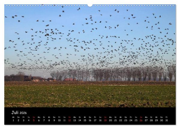 Produktbild: Schrei der Wildg&auml;nse (Wandkalender 2026 DIN A2 quer), CALVENDO Monatskalender