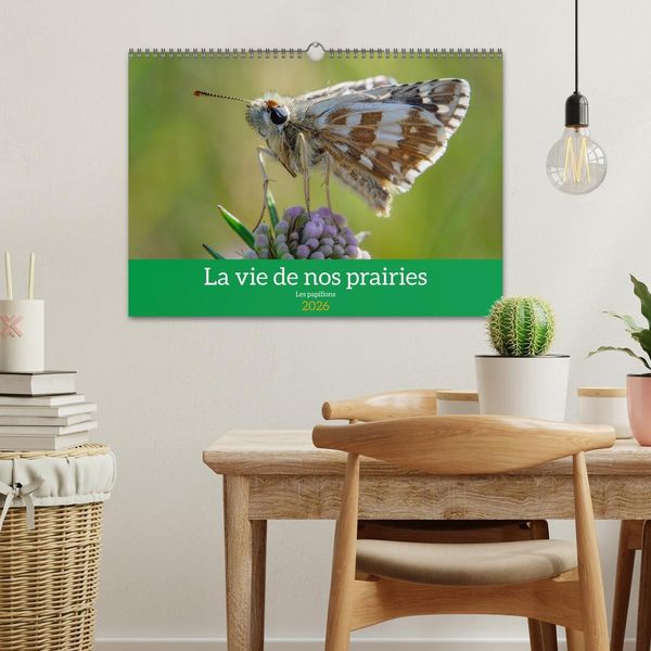 Produktbild: La vie de nos prairie, les papillons (Calendrier mural 2026 DIN A3 vertical), CALVENDO calendrier mensuel