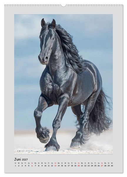 Produktbild: Friesenpferde. Schwarze Eleganz in der Natur (Wandkalender 2027 DIN A2 hoch), CALVENDO Monatskalender