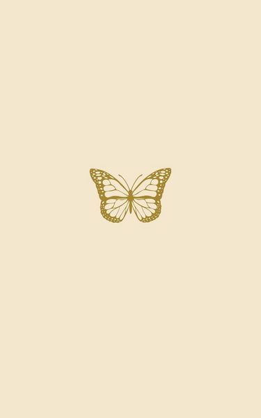 Produktbild: Introspection