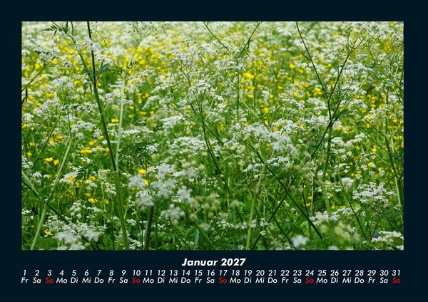 Produktbild: Blumentr&auml;ume 2027 Fotokalender DIN A4