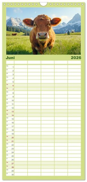 Produktbild: Familienplaner 2026 - K&Uuml;HE AUF DER ALM &ndash; Der Kalender aus Bayern mit 5 Spalten (Wandkalender, 21 x 45 cm) CALVENDO
