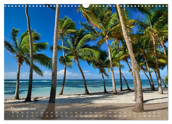 Produktbild: Guadeloupe - Karibische Traumstr&auml;nde (Wandkalender 2026 DIN A3 quer), CALVENDO Monatskalender