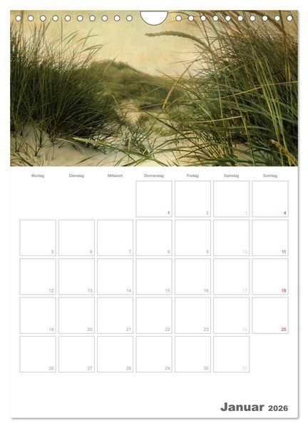 Produktbild: D&auml;nemarks Westk&uuml;ste (Wandkalender 2026 DIN A4 hoch), CALVENDO Monatskalender