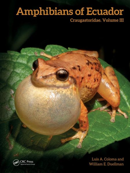 Produktbild: Amphibians of Ecuador