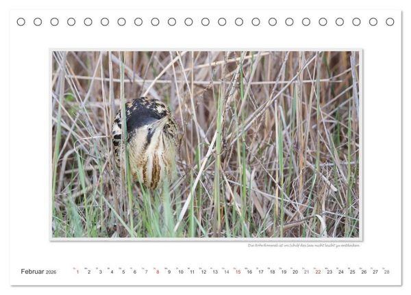 Produktbild: Neusiedler See / CH-Version (Tischkalender 2026 DIN A5 quer), CALVENDO Monatskalender