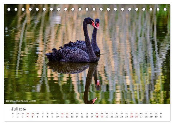 Produktbild: Emsland Impressionen (Tischkalender 2026 DIN A5 quer), CALVENDO Monatskalender