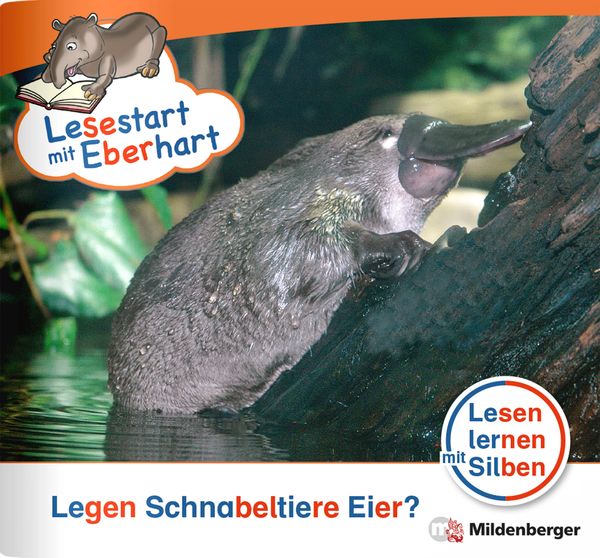 Lesestart mit Eberhart: Legen Schnabeltiere Eier?, Geheftet von Stefanie Drecktrah,Nicole Brandau, Mildenberger Verlag GmbH, 978-3-619-04154-1