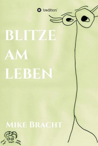 Produktbild: Blitze am Leben