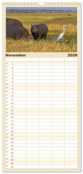 Produktbild: Familienplaner 2026 - Hippos - Gef&auml;hrliche Giganten mit 5 Spalten (Wandkalender, 21 x 45 cm) CALVENDO