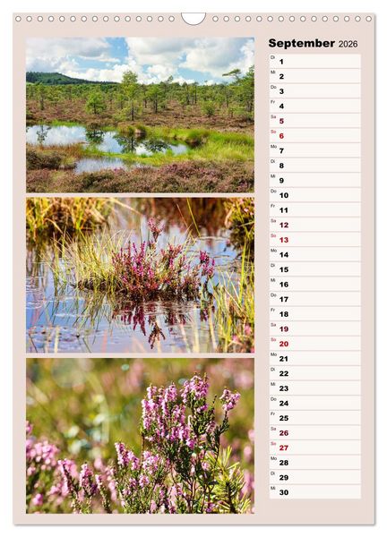 Produktbild: Harmonie der Farben in Landschaft und Natur (Wandkalender 2026 DIN A3 hoch), CALVENDO Monatskalender