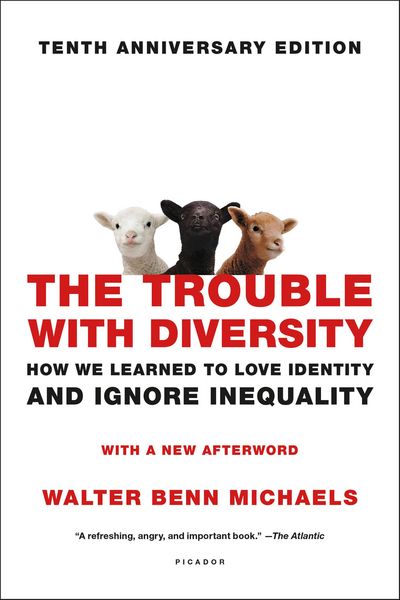 Produktbild: The Trouble with Diversity