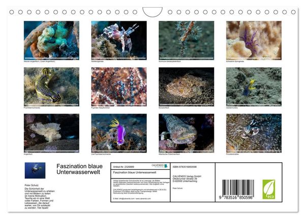 Produktbild: Faszination blaue Unterwasserwelt (Wandkalender 2027 DIN A4 quer), CALVENDO Monatskalender