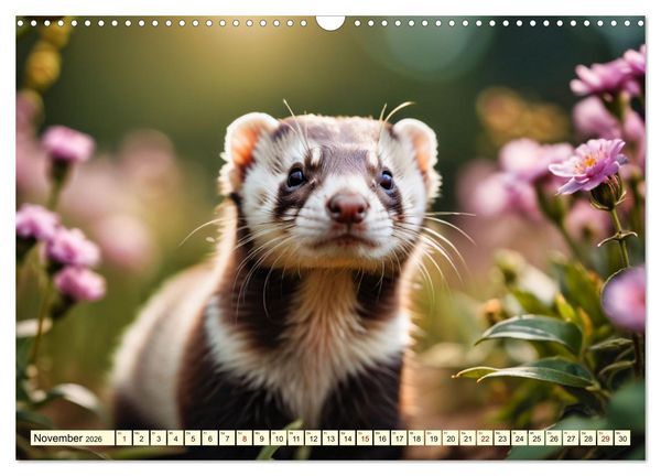 Produktbild: Die Familie der Marder (Wandkalender 2026 DIN A3 quer), CALVENDO Monatskalender