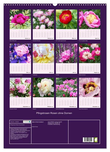 Produktbild: Pfingstrosen Rosen ohne Dornen (Wandkalender 2026 DIN A2 hoch), CALVENDO Monatskalender