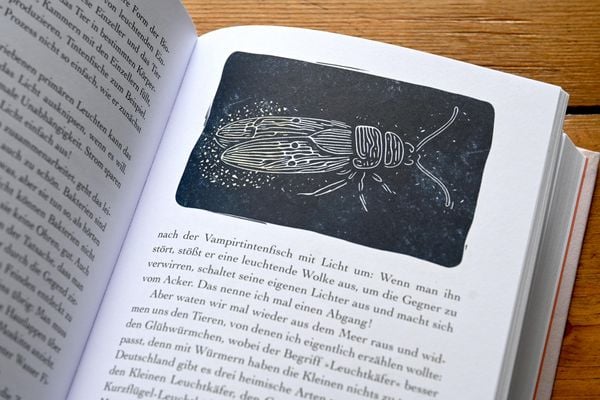 Produktbild: Schreibers Naturarium