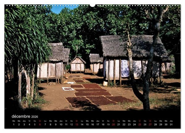 Produktbild: Madagascar L'&icirc;le aux merveilles (Calendrier mural 2026 DIN A2 vertical) calendrier de bureau