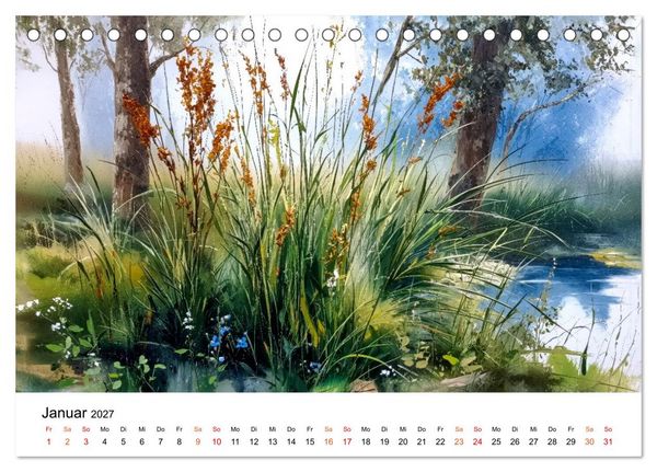 Produktbild: Wildblumen zwischen Moos und Farn (Tischkalender 2027 DIN A5 quer), CALVENDO Monatskalender