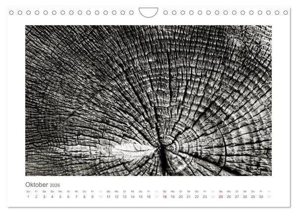 Produktbild: einfach schwarz-wei&szlig; (Wandkalender 2026 DIN A4 quer), CALVENDO Monatskalender